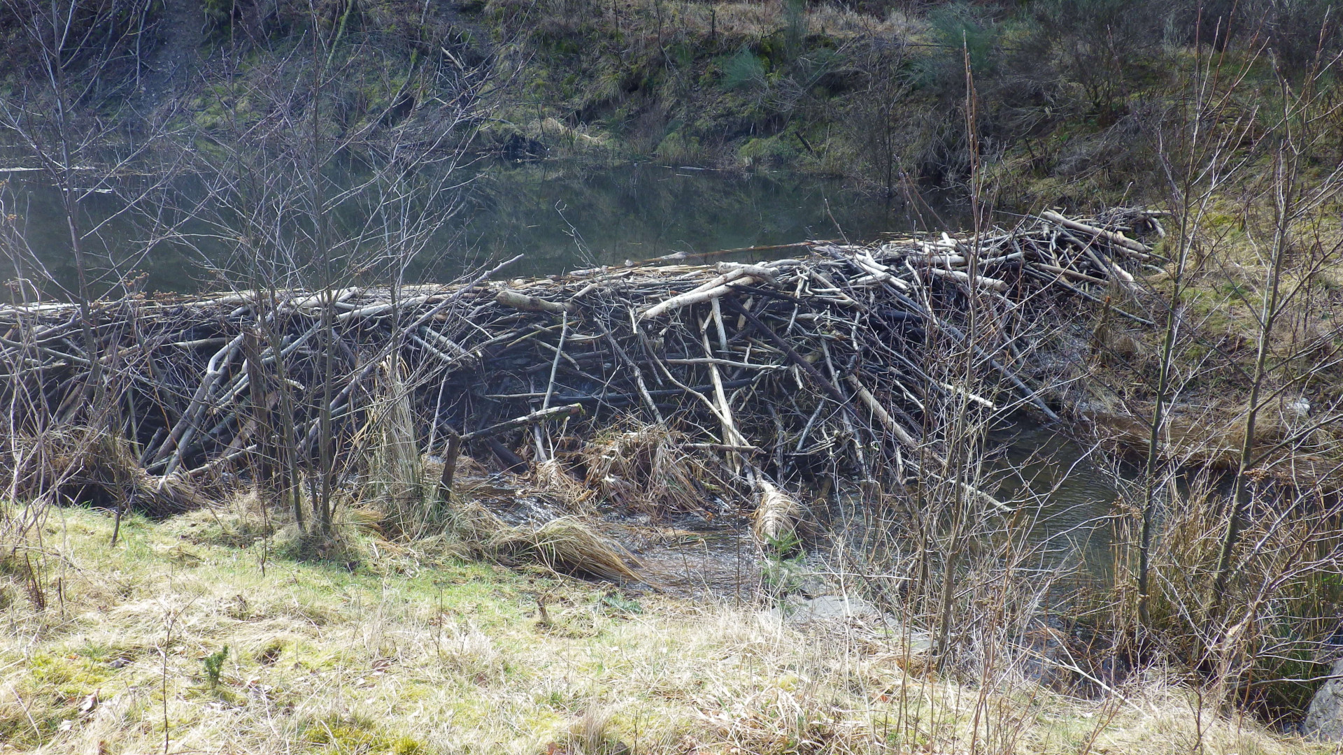 Schmuckbild